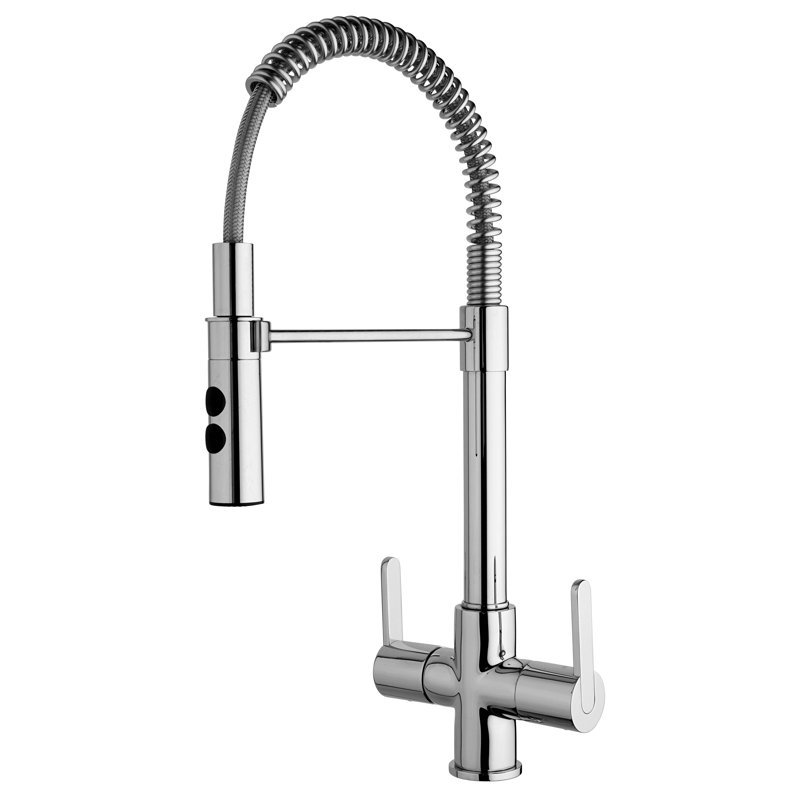 Latoscana Pull Down Kitchen Faucet Wayfair